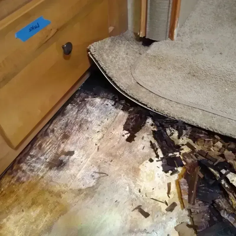 Best Wood Floor Water Damage Service in Dennis Port, MA